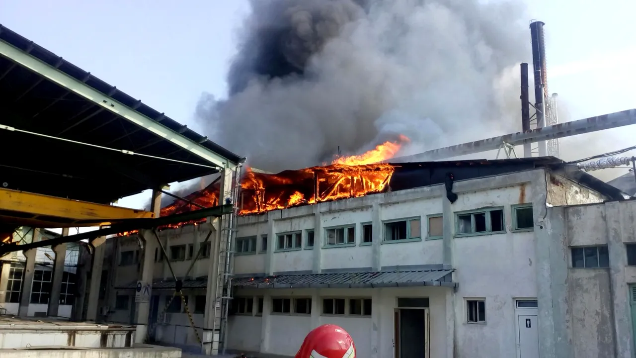 Un incendiu puternic a izbucnit la o fabrică de prelucrare a lemnului din judeţul Mehedinţi