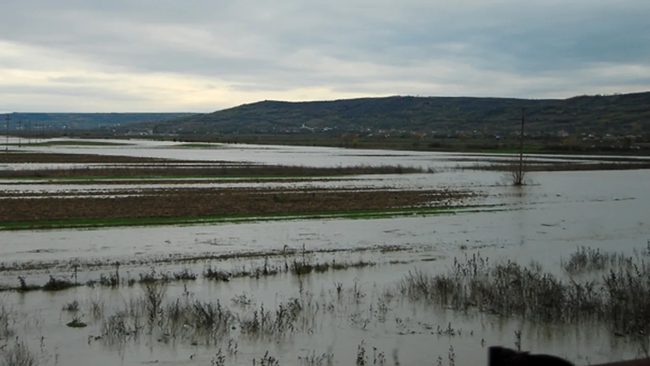 Teleorman: 200 de hectare de teren şi pădure, inundate