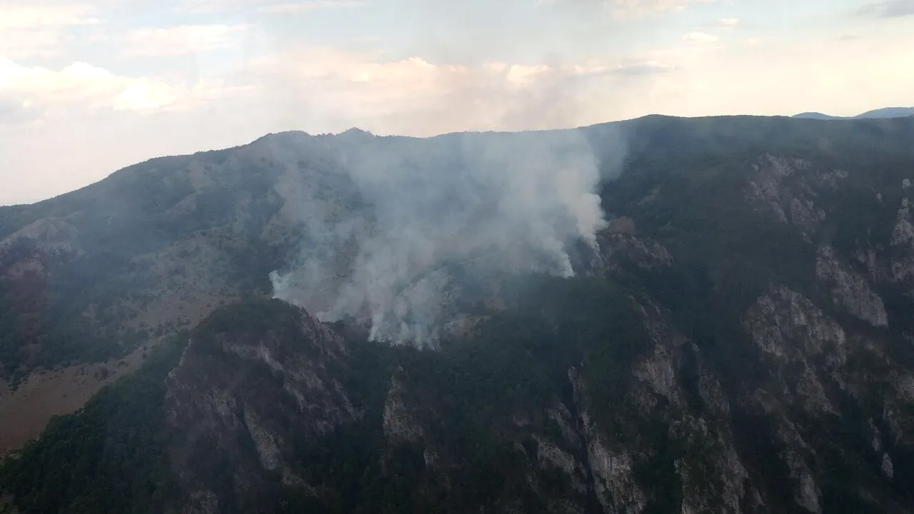 Incendiu în Parcul Naţional Domogled, din jud. Caraş-Severin, fiind afectate 15 hectare de litieră/ UPDATE: Focul a fost stins