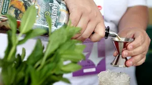 Barmanul Anului 2011 în România va fi ales în competiţia Barmaniada, ce debutează marţi în Capitală