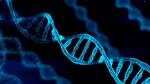 Descoperire uimitoare. Tulburarea obsesiv-compulsivă, Tourette și autismul ar avea rădăcini genetice comune
