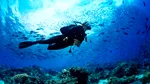 Accident la diving în Maldive: cinci italieni și-au pierdut viața. 112 turiști au pierit în incidente maritime în ultimii 6 ani