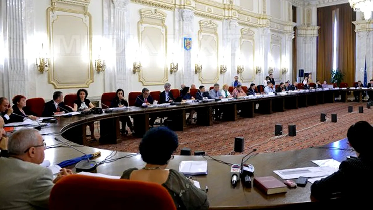 Comisia de revizuire: Descentralizarea serviciilor se face cu asigurarea resurselor financiare