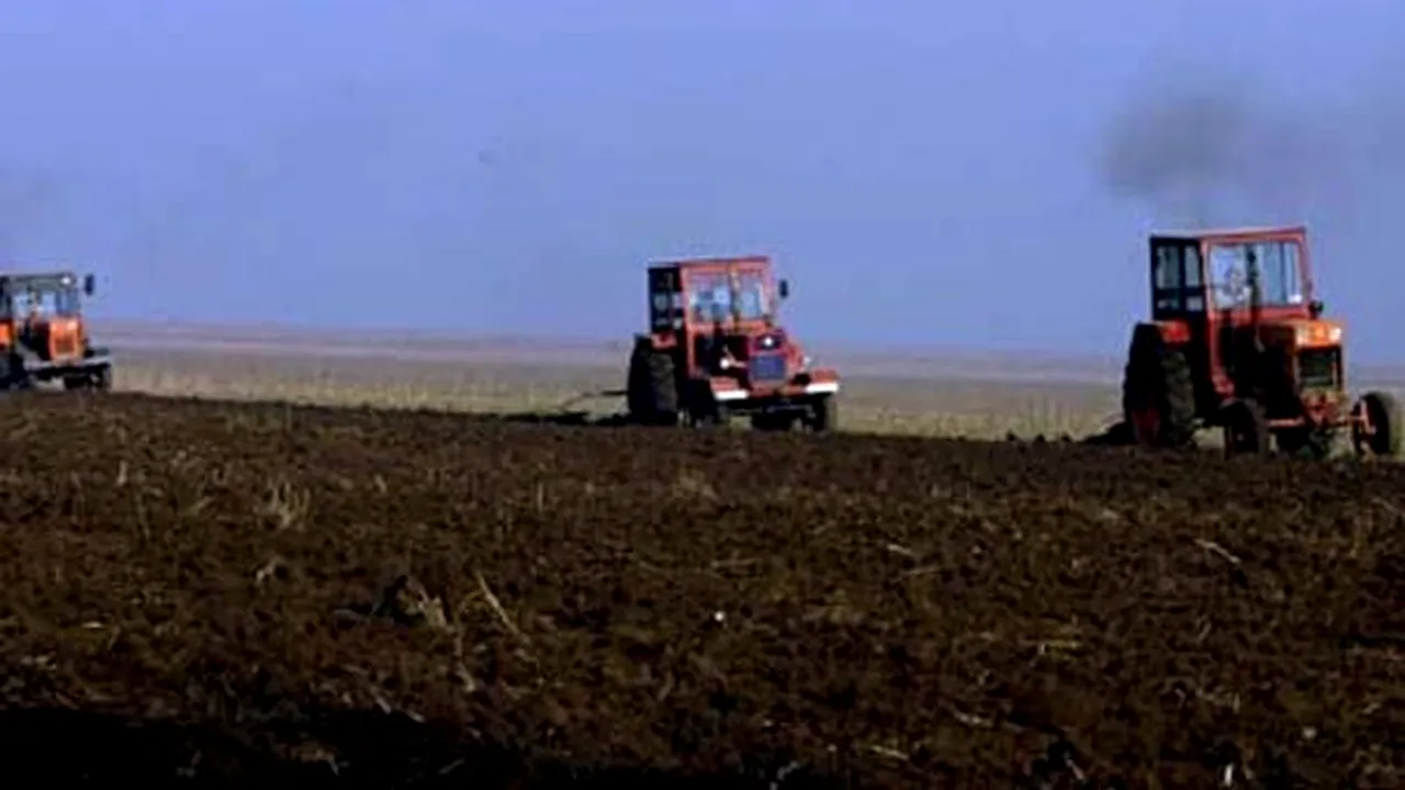 Statul va impozita mai mulţi agricultori, în funcţie de suprafeţele cultivate şi numărul de animale