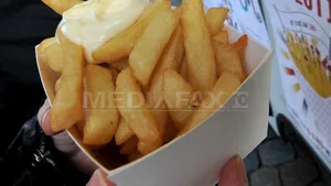 Maioneză cu canabis, servită alături de cartofi prăjiţi, la Amsterdam şi Utrecht