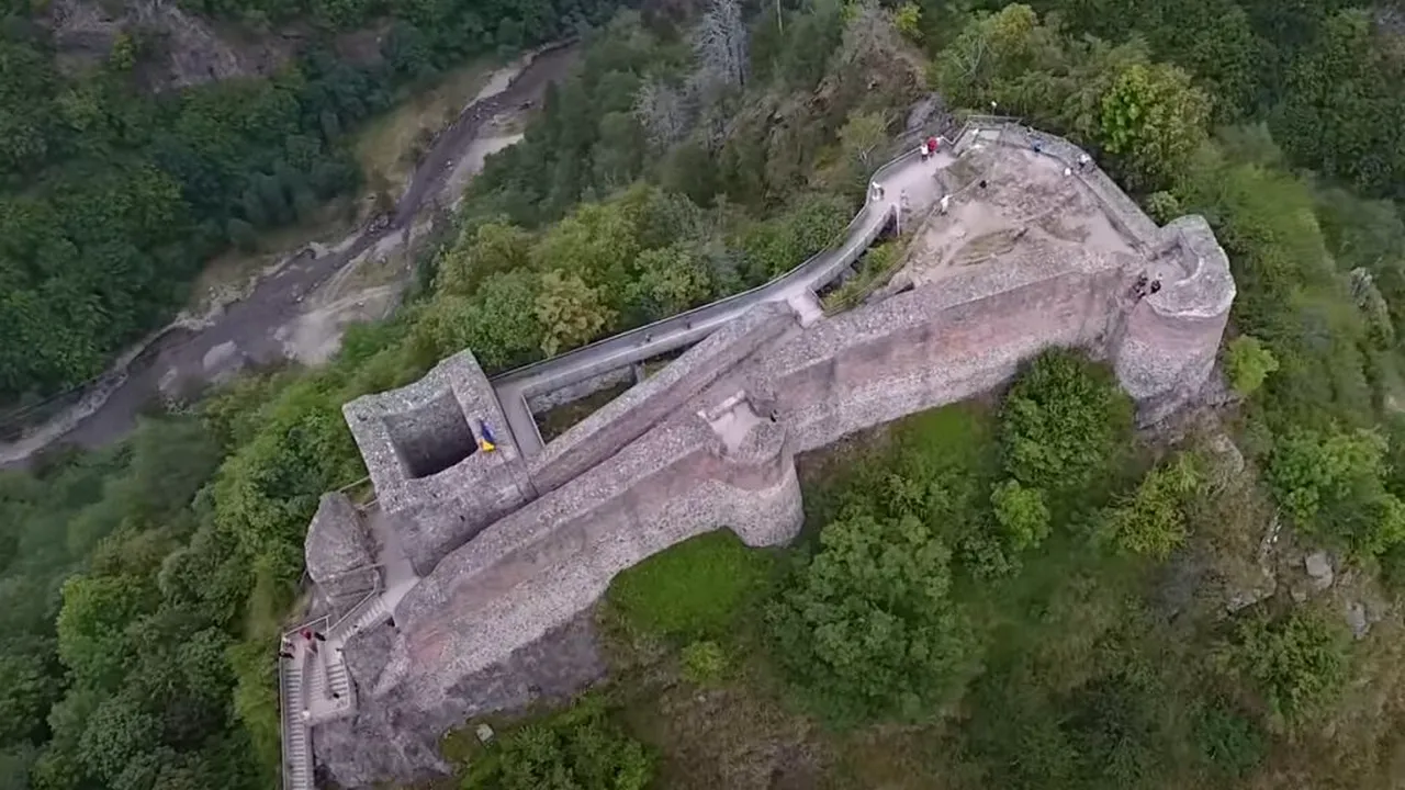Cetatea Poienari se va redeschide marți după capturarea ursoaicei care a rupt gardul electric