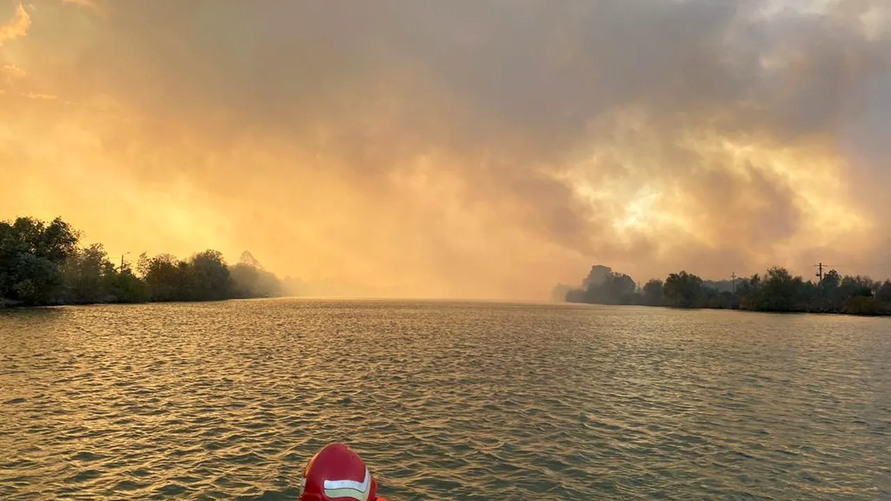 Incendiu de vegetaţie în Delta Dunării: pompierii monitorizează zona de nord a oraşului Sulina