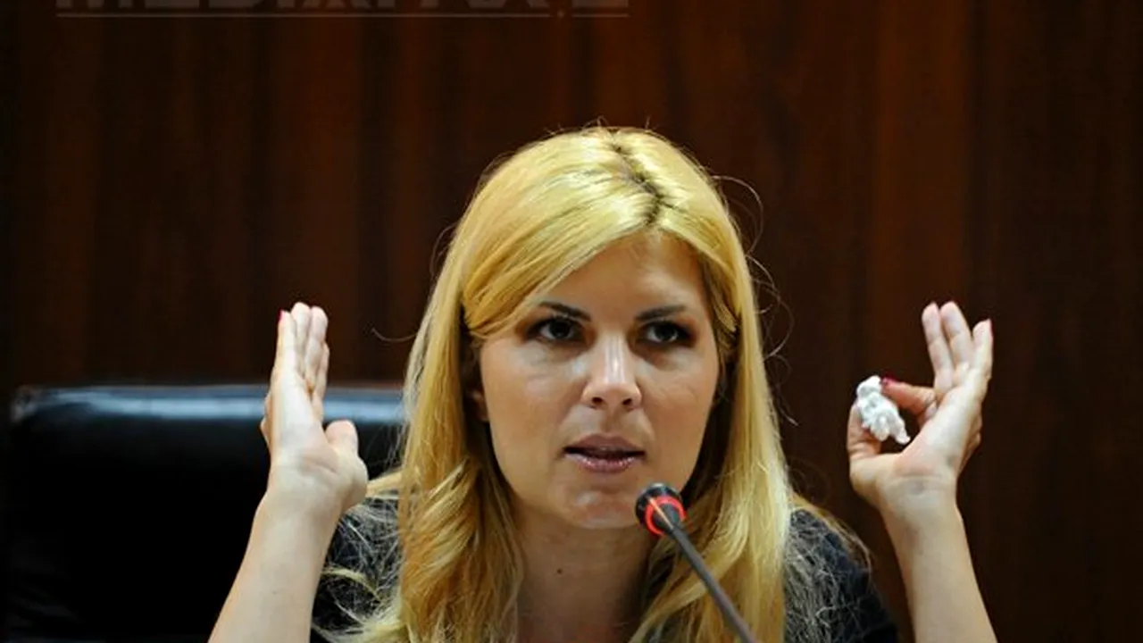 Udrea: Voiculescu să investească în turism banii pe care îi dă celor care toacă orice lucru bun care se face în ţară