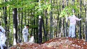 Gândul: Elodia i-a scris amantului SPP-ist că i-a plăcut c-a bătut-o