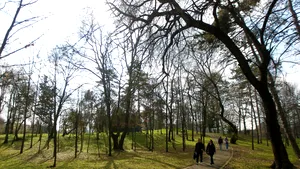 Prima săptămână din martie aduce temperaturi de până la 20 de grade. Vremea pe regiuni