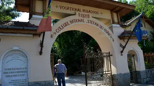 REPORTAJ: Grădina de legume şi muzeul din curtea unei şcoli din Craiova - GALERIE FOTO 