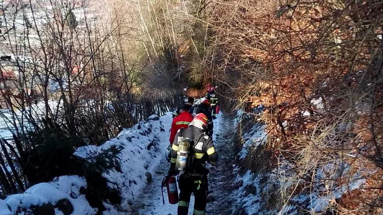 Misiune dificilă a pompierilor pentru a stinge un incendiu izbucnit la o cabană de lemn