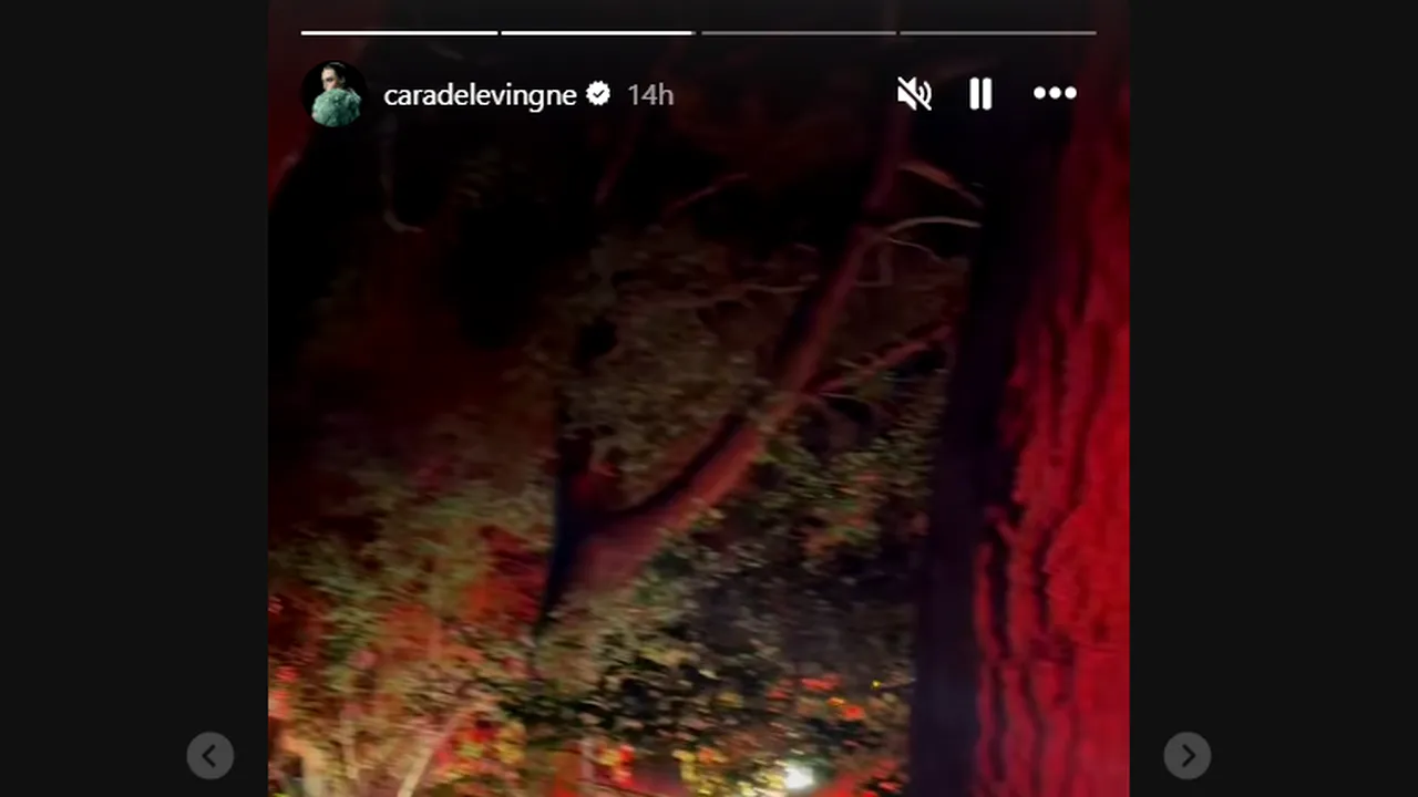 Casa din Los Angeles a Carei Delevingne a fost distrusă de un incendiu