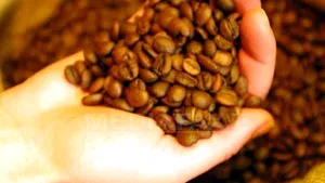 România ocupă locul 49 în lume la consumul de cafea
