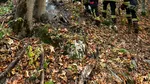 Incendii de vegetație în zona Parcului Național Domogled – Valea Cernei: Trei elicoptere au participat la stingerea flăcărilor. Se va realiza o recunoaștere aeriană