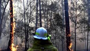 Organizaţia Meteorologică Mondială avertizează: Concentraţia de gaze cu efect de seră a atins un nou record 