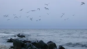 Creşterea nivelului de CO2, similară cu cea din era glaciară