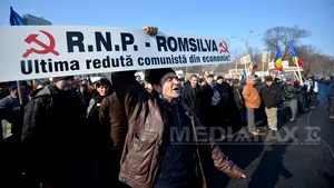 Guvernul modifică regulamentul de valorificare a masei lemnoase