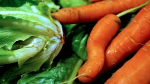 CE dă verde castraveţilor curbaţi şi morcovilor noduroşi