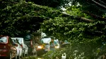Ploi torențiale în Capitală. Trafic blocat pe autostrada București-Ploiești din cauza ploii / Pompierii intervin pentru degajarea unor copaci doborâți
