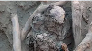 Descoperirea macabră a unor muncitori care săpau la o conductă de gaz