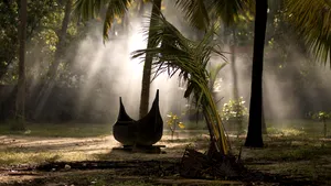 Investiţie exotică de peste 3 milioane de euro: Seră cu palmieri la Grădina Botanică din Galaţi