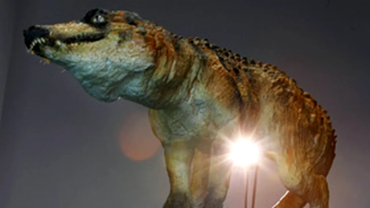 Crocodil din Cretacic, prezentat la Rio de Janeiro