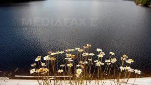 Apele Române: Sunt rezerve suficiente de apă. Aplicarea Planului de restricţii nu este necesară