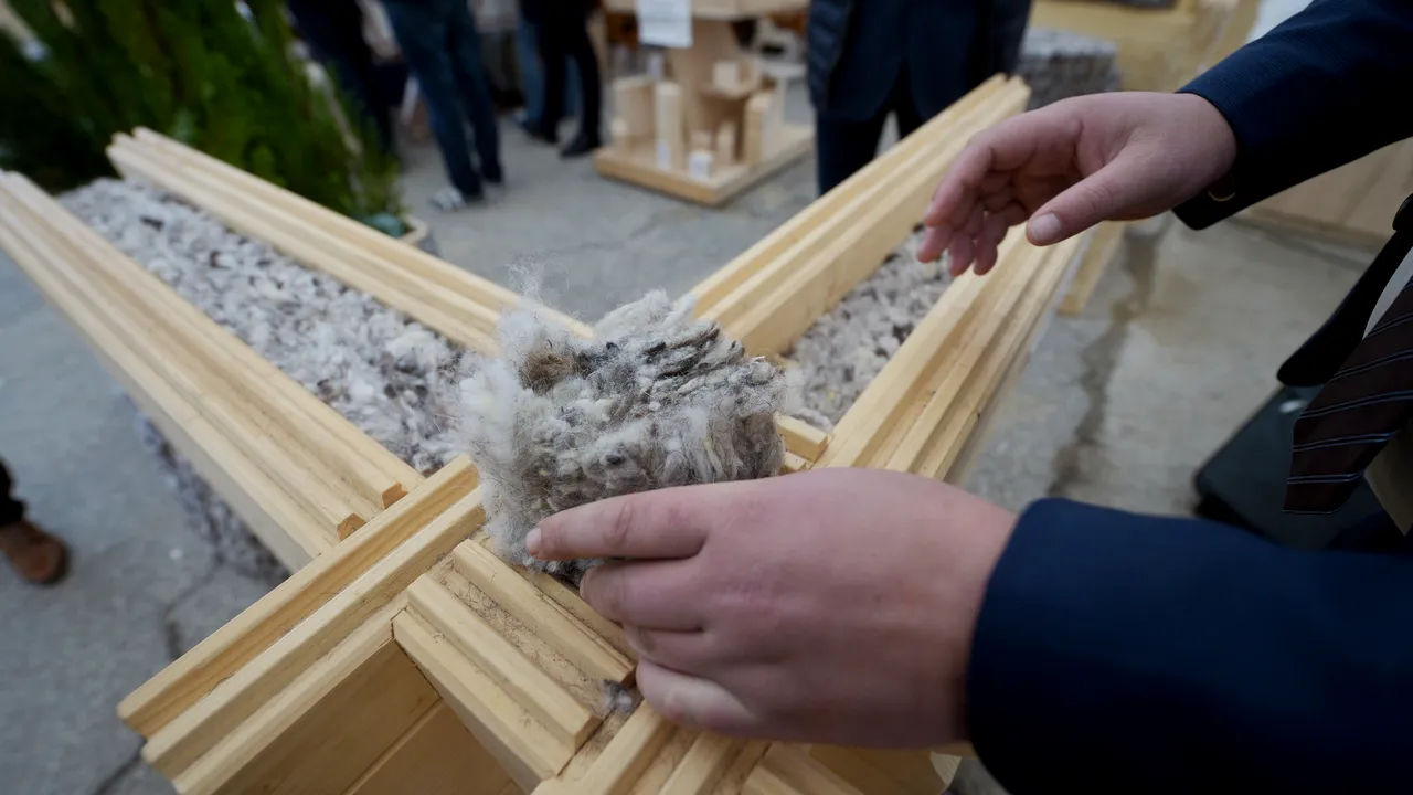 Lâna de oaie, folosită pentru izolarea caselor. Sistemul revoluţionar creat de un român, după mai mulţi ani de cercetări: 
