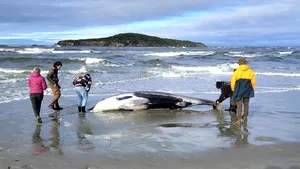 „Fantoma oceanelor