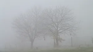 COMENTARIU Lelia Munteanu: Există România?