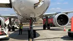 Momente de panică la bordul unui avion cu destinația Paris. Vârful aeronavei, rupt în urma impactului cu o pasăre