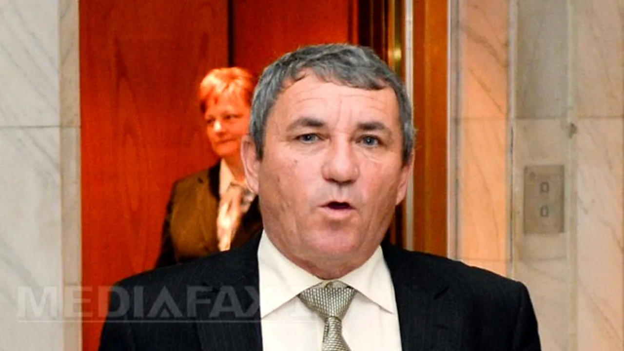 Mircovici: Cât există sesizare a Parchetului pe tema Călăraşi, orice activitate a Comisiei încetează