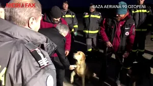 Intervenţia salvatorilor români în Albania. Primele cuvinte ale ambasadorului: „Acum 5 minute a fost un cutremur, s-a simţit puternic” / Oamenii sunt ajutaţi de maidanezul Chalapa şi labradorul Billy