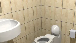 Peste 73.000 de euro alocaţi de Primăria Râmnicu Vâlcea pentru o toaletă publică într-un parc