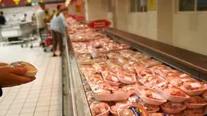 Consumul de carne de porc este fără pericol pentru populaţie