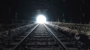 COMENTARIU Lelia Munteanu: Mântuirea păcătoşilor