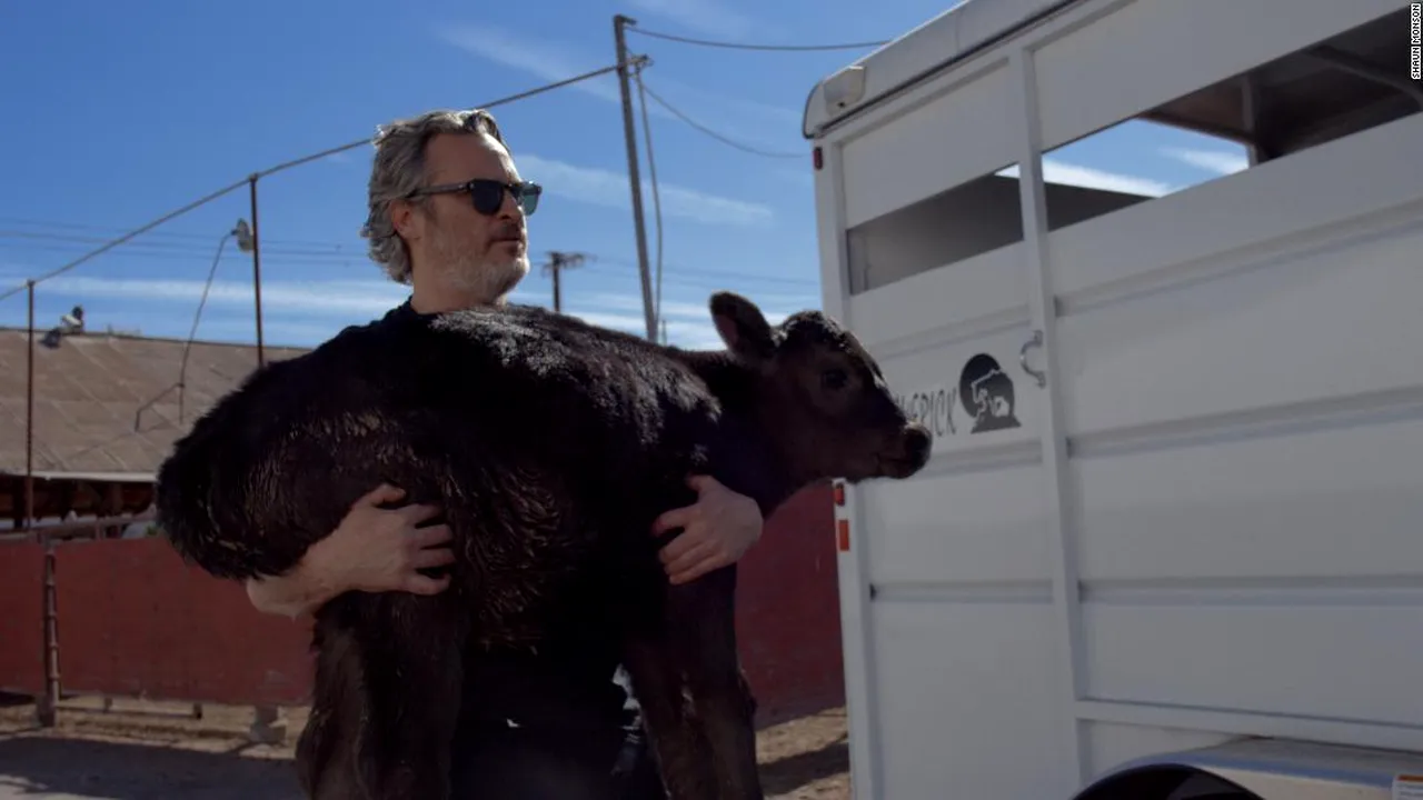 VIDEO: Joaquin Phoenix a salvat de la abator o vacă şi un viţel. „Bunătatea şi compasiunea ar trebui mereu să ne înconjoare”