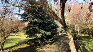 Un nou parc se deschide în Bucureşti. Unde e situat Parcul Elisabeta Rizea