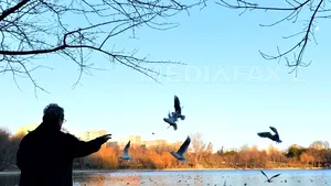 CUM VA FI VREMEA până pe 10 februarie. Prognoza meteo pentru fiecare regiune a ţării