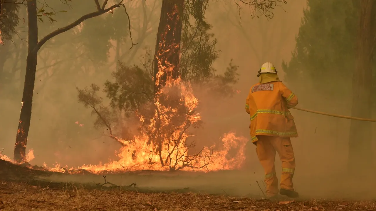 Ce vedete au făcut donaţii pentru pompierii din Australia care se luptă cu incendiile devastatoare