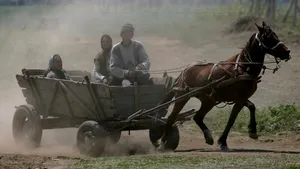 O nouă metodă de furat maşini în România: cu căruţa!