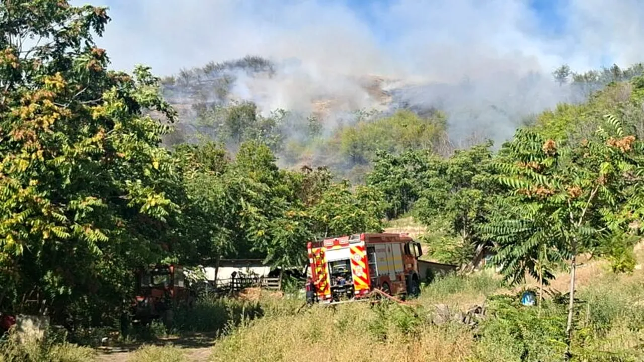 Un incendiu de vegetație s-a extins către o pădure și amenință animale și locuințe, în județul Tulcea. Pompierii intervin pentru lichidare