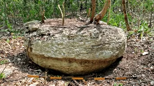 Un oraş mayaş antic a fost descoperit în jungla din sudul Mexicului