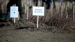 Uniunea Europeană este 