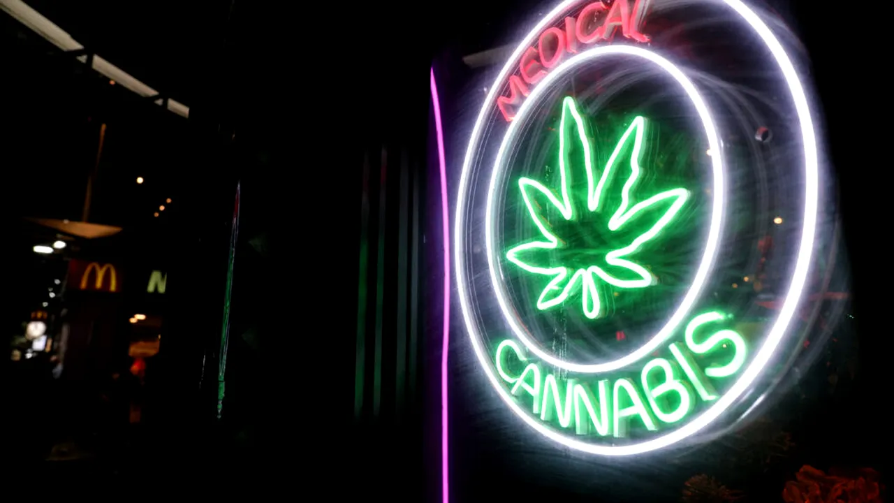 Semnal de alarmă tras de medici asupra prescripțiilor medicale „excesive” de marijuana