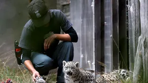 O grădină zoologică din SUA a început vaccinarea anti-COVID a animalelor. Autorităţile folosesc un tratament experimental