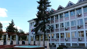 Balş-Olt: 15 statui de 800 euro bucata, jumătate din ele cu spatele la stradă - FOTO