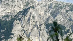 O franţuzoiacă a căzut într-o râpă din Munţii Piatra Craiului