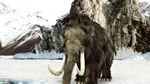 Oamenii de știință au descoperit ADN de mamut în excremente congelate de veveriță